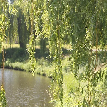 Camping Le Prejoly Camping Hondschoote