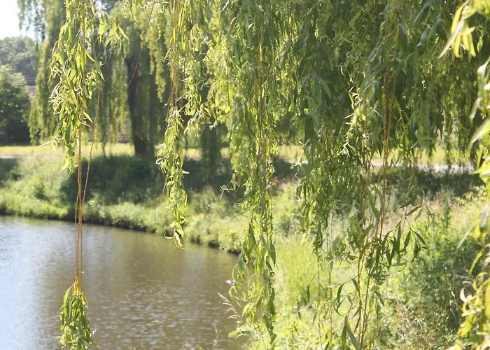 Camping Le Préjoly Camping Hondschoote